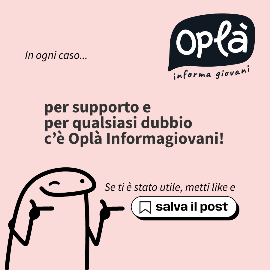 miniguida6